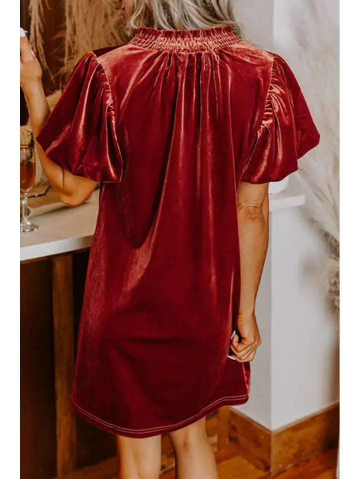 Cinamon Velvet Dress