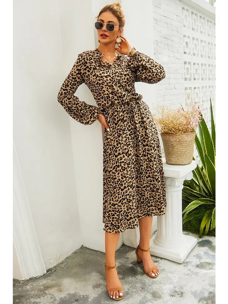 Longsleeve Leopard Print Dress