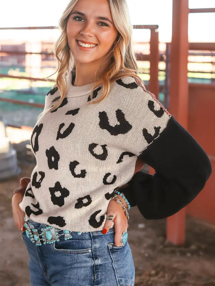 Animal Print Block Sweater