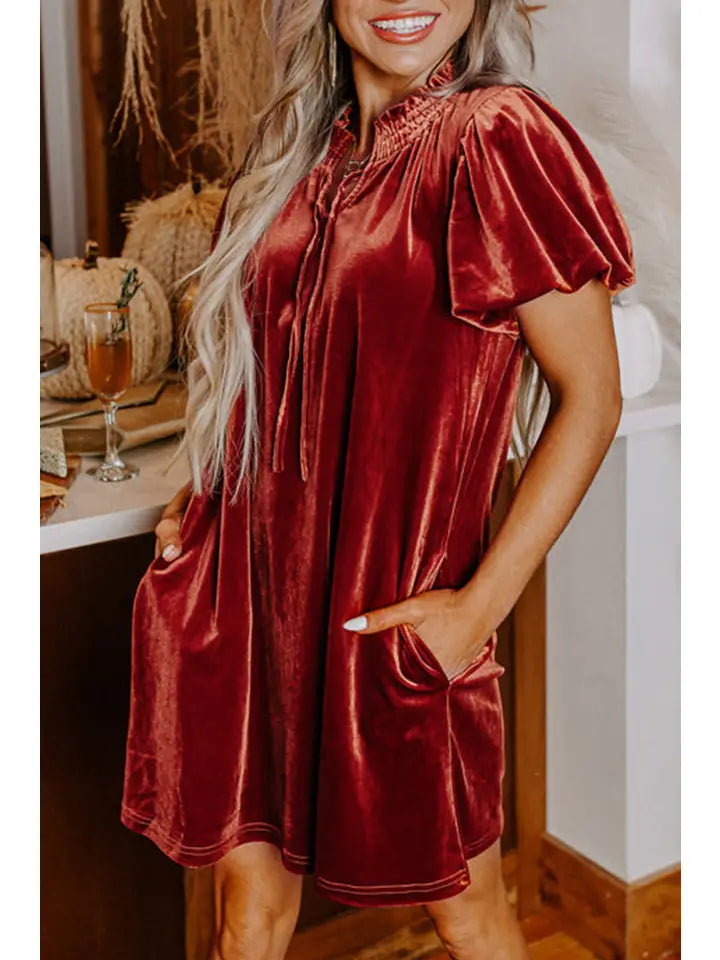 Cinamon Velvet Dress