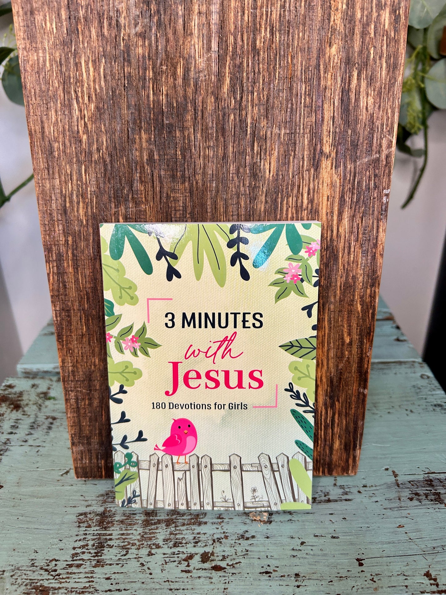 3 Minutes with Jesus - 180 Devotions for Girls