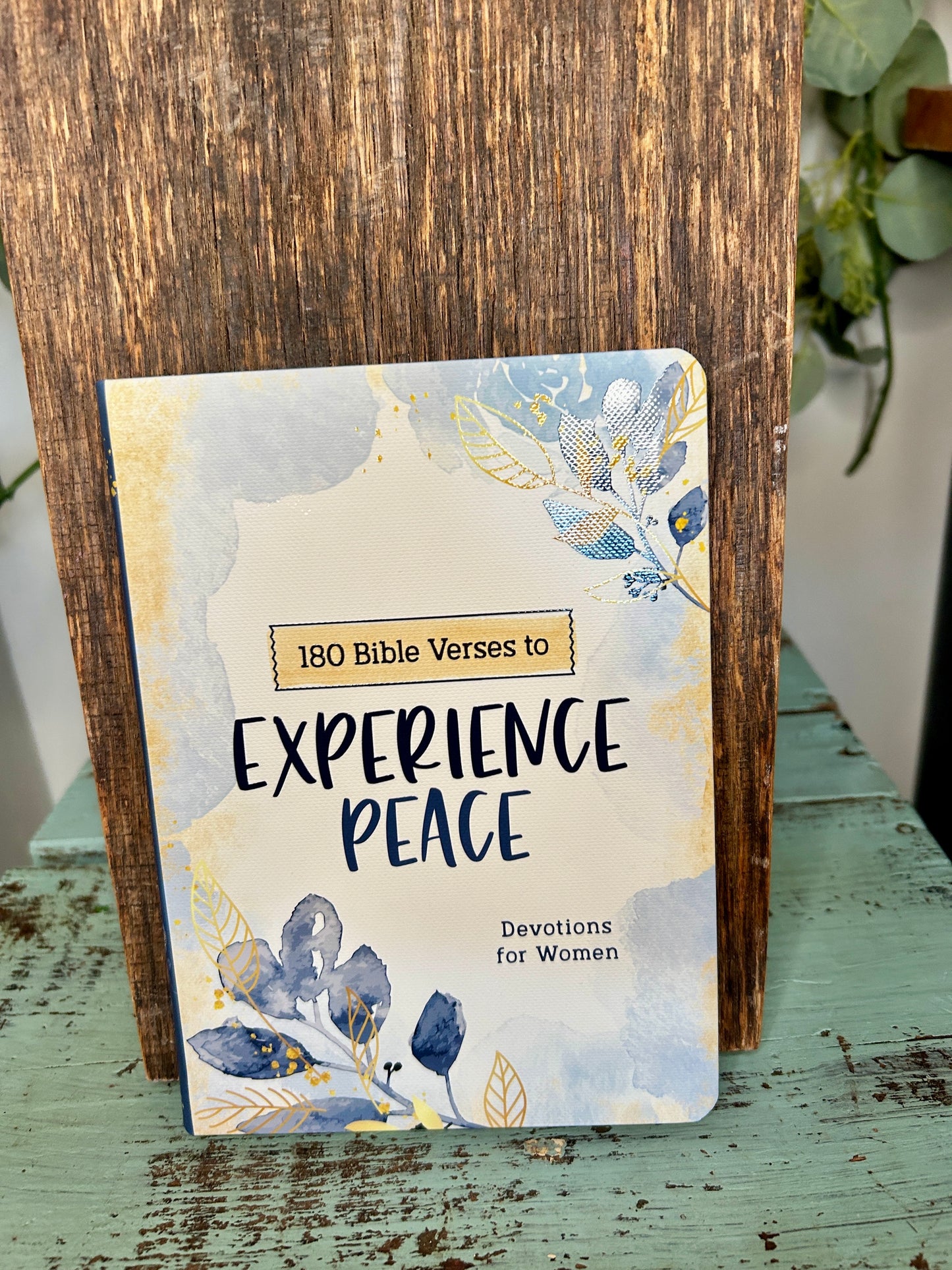 180 Bible Verses to Experience Peace