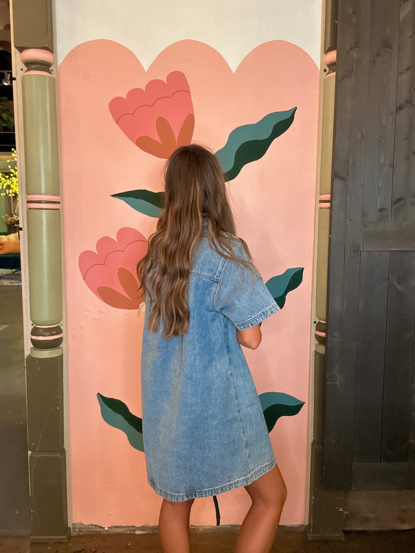 Denim Pull On Collar Mini Dress