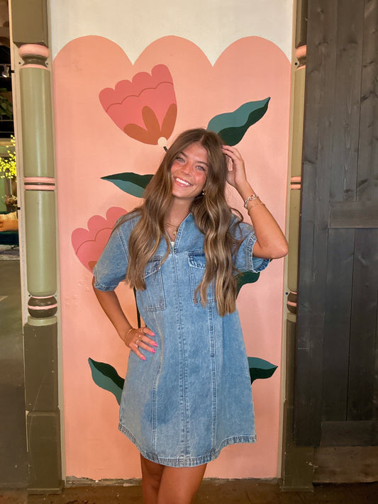 Denim Pull On Collar Mini Dress