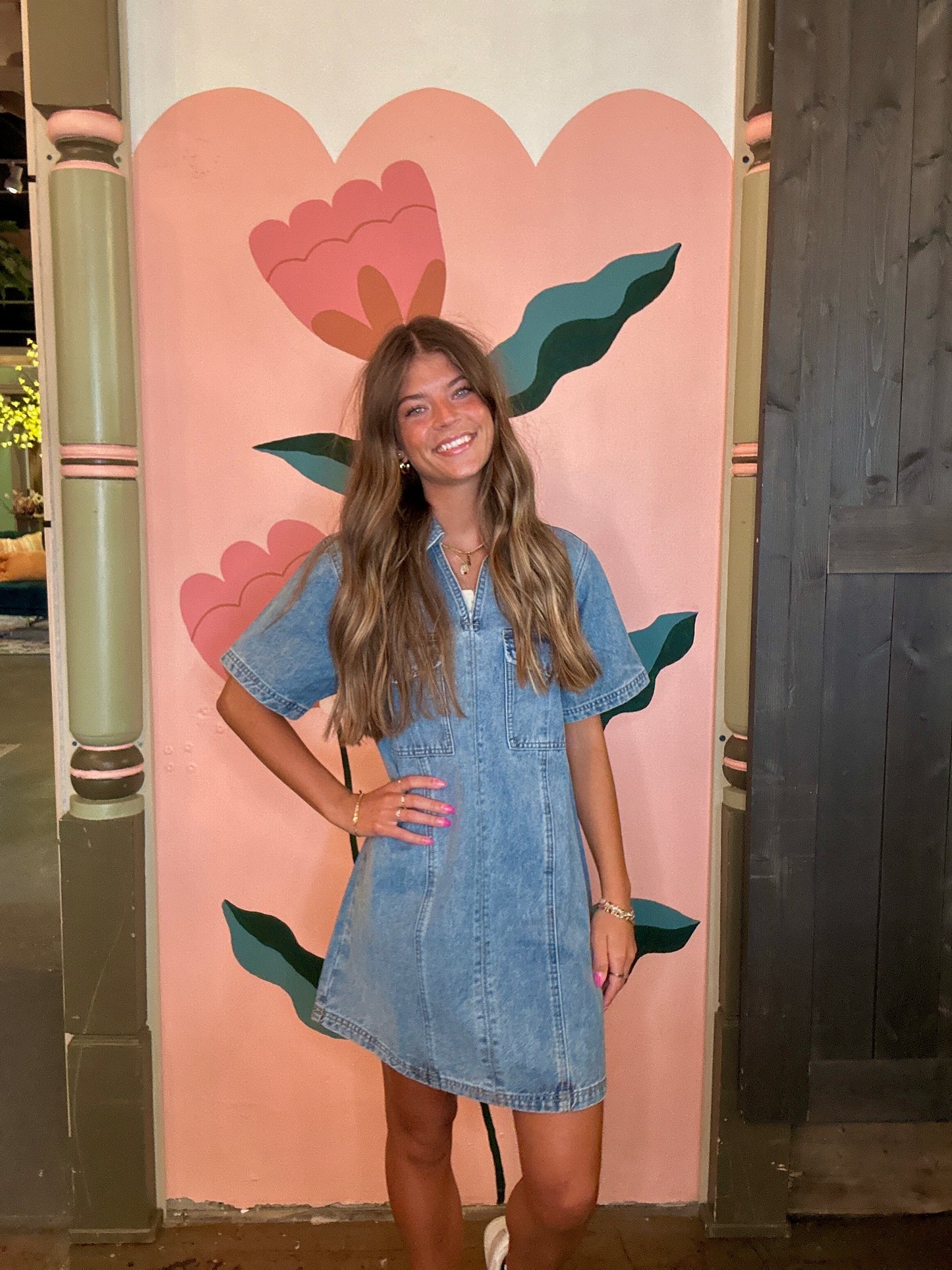Denim Pull On Collar Mini Dress
