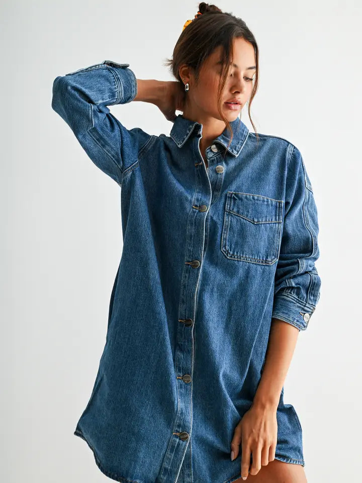 Main Street Denim Dress